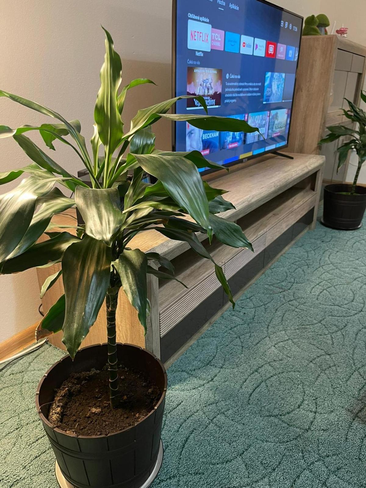 Velky Apartman Bratislava Luaran gambar